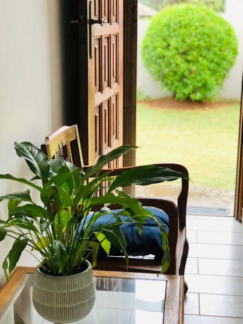 Danville Forest Guest House & Apartments Durban Bagian luar foto
